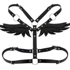 Petites ailes BDSM