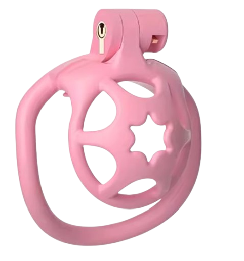 Cage de chasteté plastique Rose Etoilée