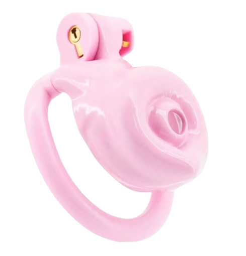 Cage de chasteté plastique Le Trou Rose